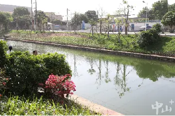 神湾镇：推行“一河一策”，污水河变清水河丨百名干部群众话治水
