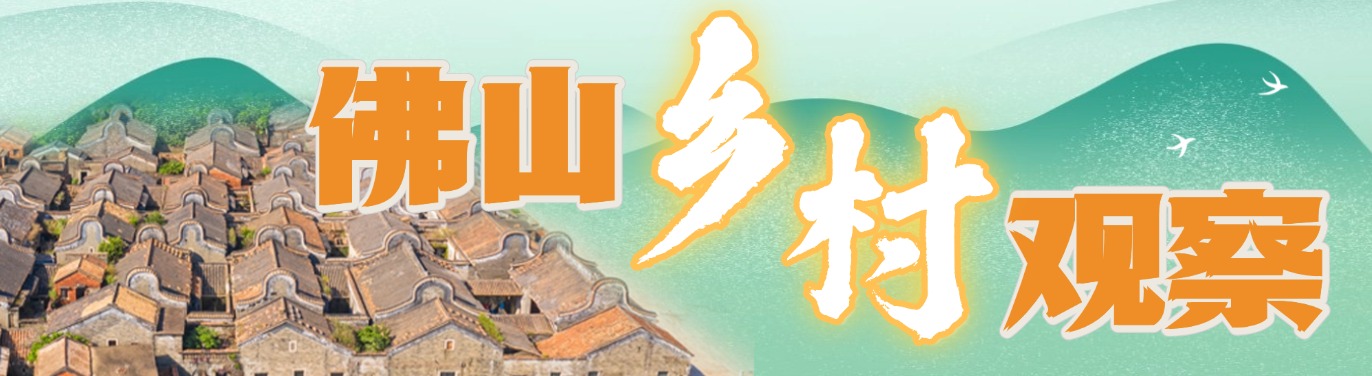 佛山乡村观察 │北滘用一场“外科手术”复兴“碧江三脉”