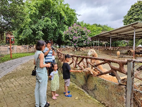 “治愈星球”奇遇记 香市动物园打造五一文旅消费新场景