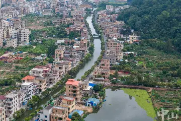 中山板芙：金钟涌重现清波，村民点赞丨百名干部群众话治水