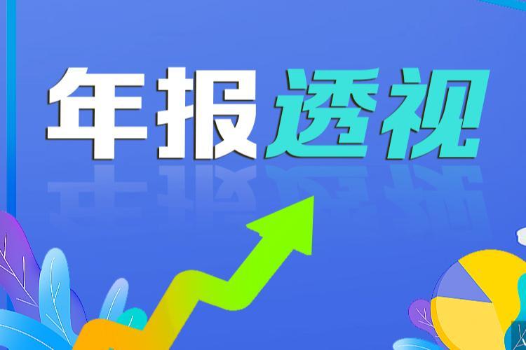 股市特别报道·财经聚焦丨A股公司2024年报披露结束 近六成公司营收增长