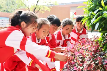 教育星火照亮城乡！中山基础教育集团已达36个