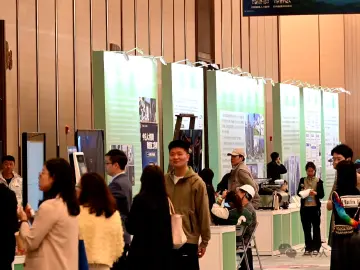 @江浙沪应届毕业生，深圳“招才官”等你来