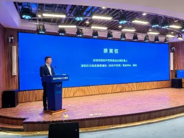 深圳市2024年知识产权白皮书发布
