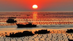 山东荣成：渔民耕海忙
