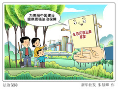 （图表·漫画）法治保障