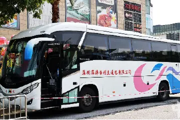 开通6条线路！香港直通巴士大信远洋站正式启用