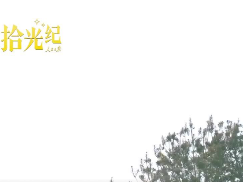 拾光纪·种一棵树最好的时间是十年前，更是现在