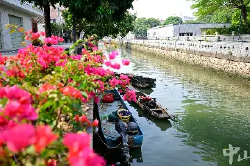 中山东凤镇：上闸河蝶变 流水花映红 | 百名干部群众话治水