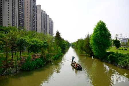 中山港口镇：黑臭河涌蜕变成市民的“亲水平台”| 百名干部群众话治水