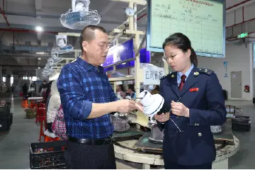 中山：精准对接企业需求，为提振消费注入“税动力”