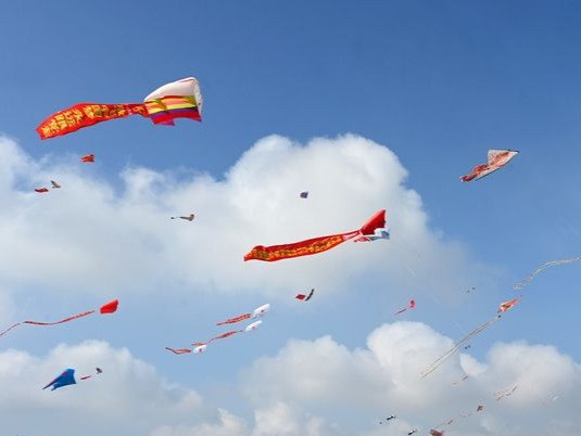 “万物皆可上天”！这些需要注意→