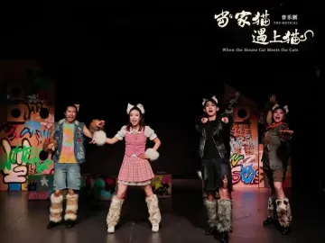 赠票福利！清明假期读特请你免费看《当家猫遇上猫》音乐剧