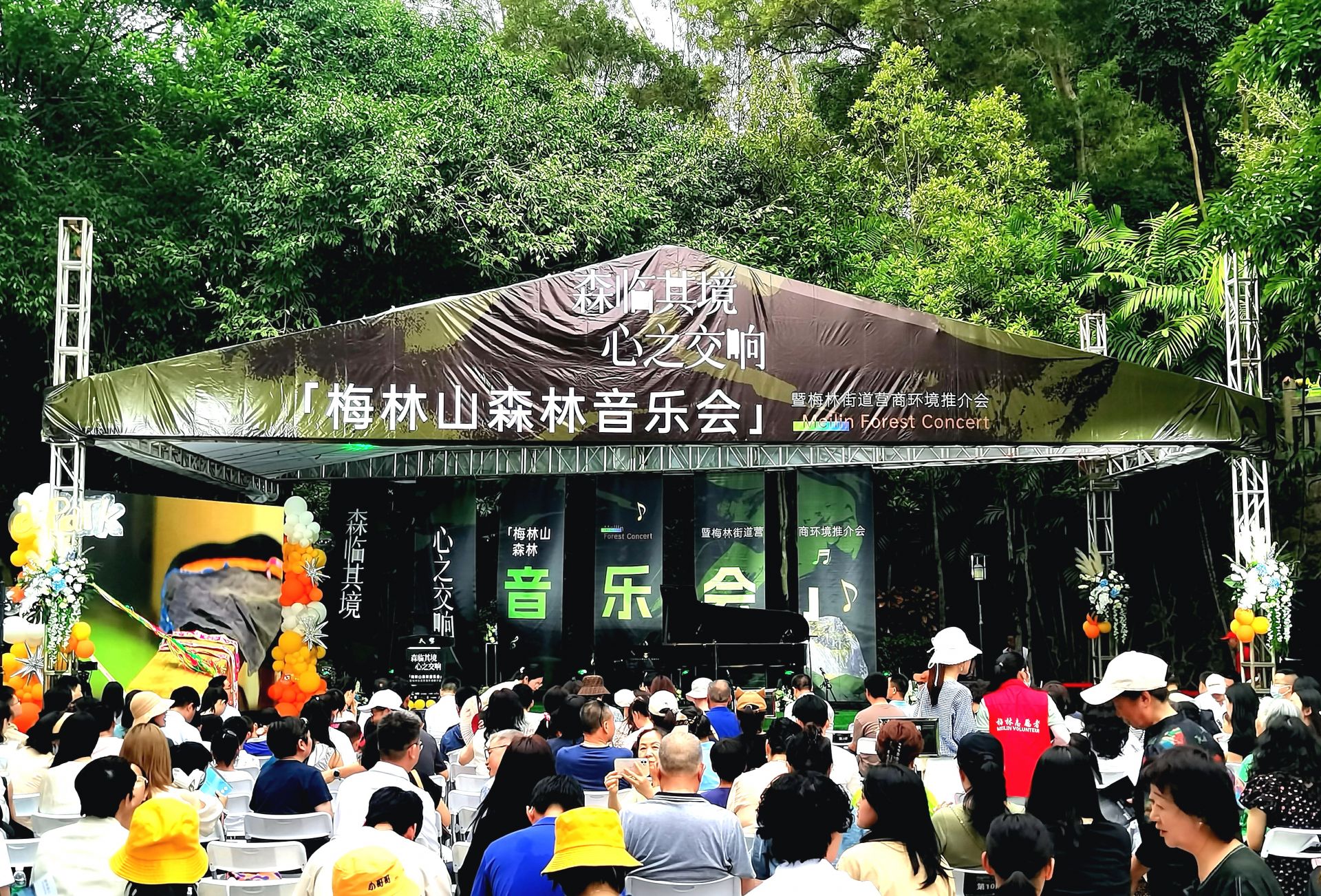 森林音乐会