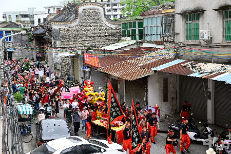 醉龙喷火、萌娃应援……中山西区“四月八”醉龙巡游太“上头”了