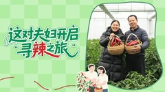 返乡后浪有“后劲”之二：这对夫妇开启“寻辣之旅”