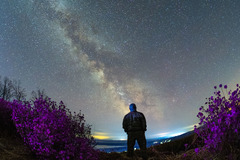 诗意中国丨霭霭花出雾，辉辉星映川（16）#