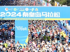 这座滨海小城火出圈！三大流量密码曝光