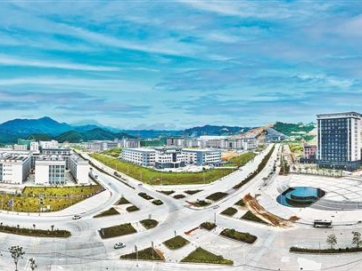 龙紫产业共建提档升级：从“单向输血”到“双向赋能”精彩蝶变