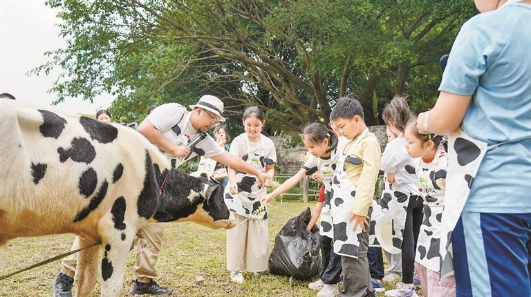 光明农场大观园：小朋友观看自动化挤奶