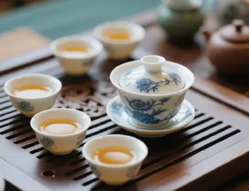 潮汕根脉丨人文天地·南海潮