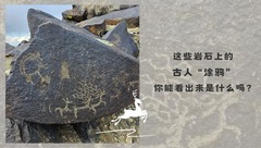 这些岩石上的古人“涂鸦” 你能看出来是什么吗？