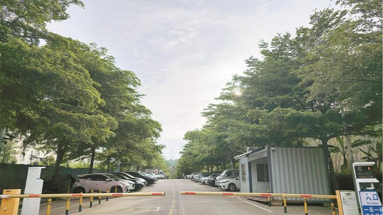 光明白花社区“边角料地块”变成200余个“幸福泊位”