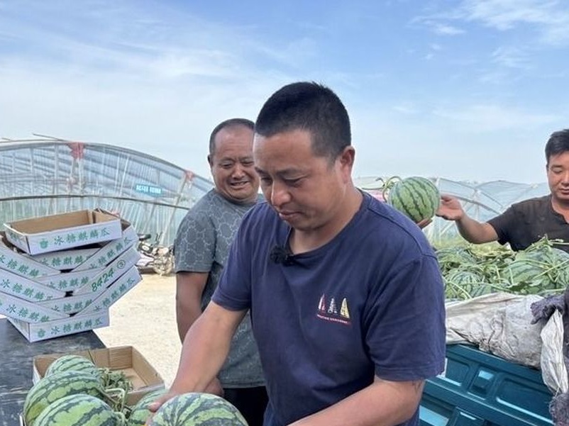 下午茶 | 月入3万元！“验瓜师”成香饽饽，还有这些冷门“小生意”你都知道吗？