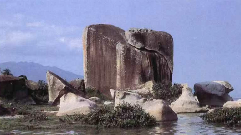大鹏仙人石“重现”，周边发现深圳首个海鸟繁殖地和榄李群落