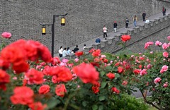 五一假期旅游消费市场活力十足 （12）#