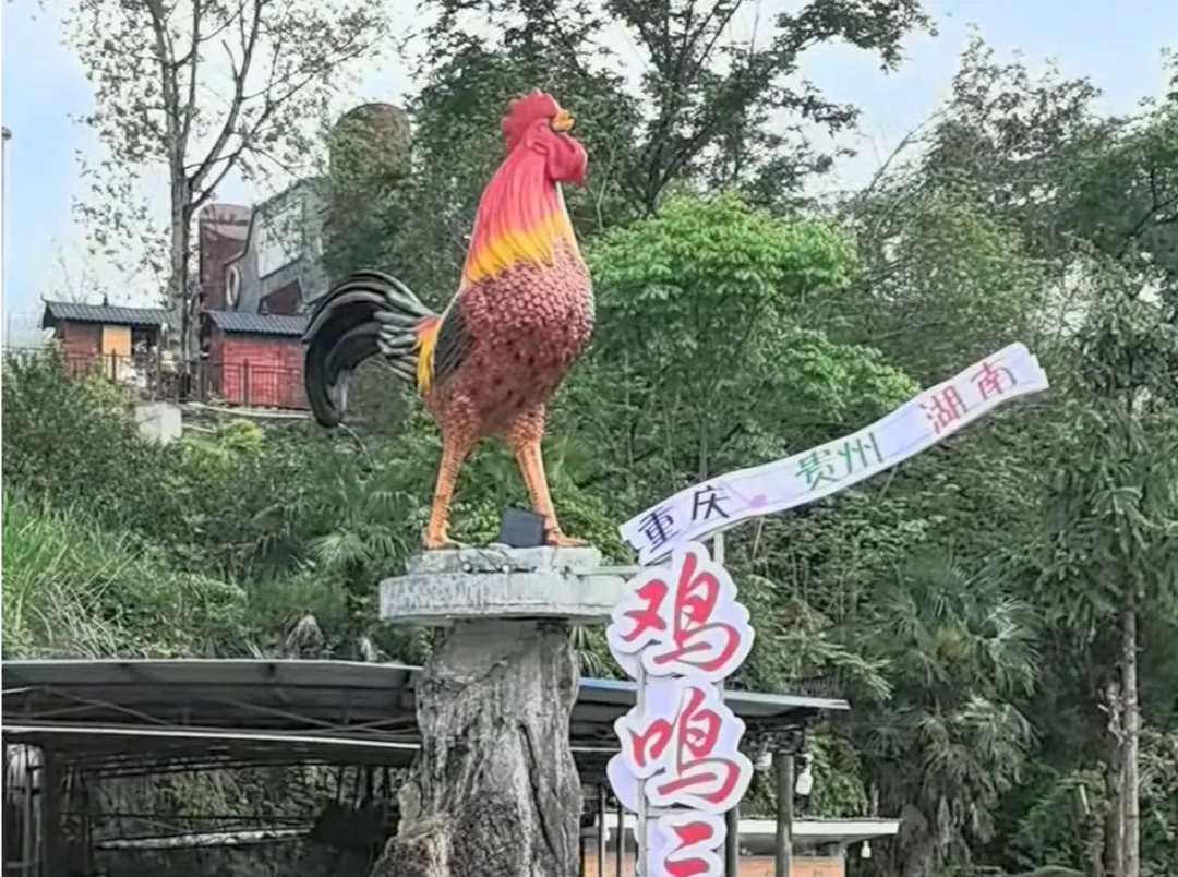 贵州一农家乐“扫码听鸡叫”火了！一天900多人远程付款，老板：每晚10点关电闸