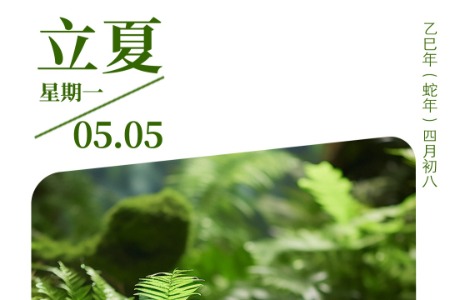 今日立夏｜草木葱茏，浓荫夏长