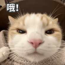 4F34255C.png