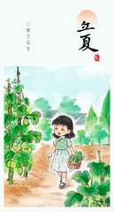 （图表·插画）图说节令·立夏丨三候王瓜生