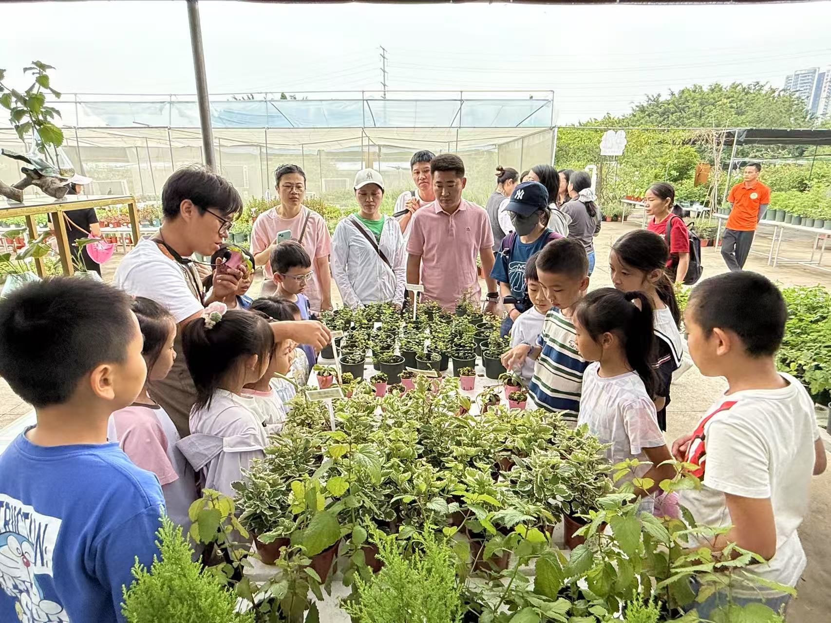 宝图“阅界·绿行计划”在立新湖公园开启阅读新体验
