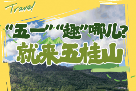 音乐会/面包节/网红咖啡/乡村生态游，各种玩法应有尽有！“五一”首日，锁定桂南村→
