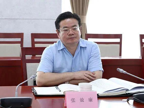 张效廉被决定逮捕！曾被批“官迷心窍、利令智昏” 