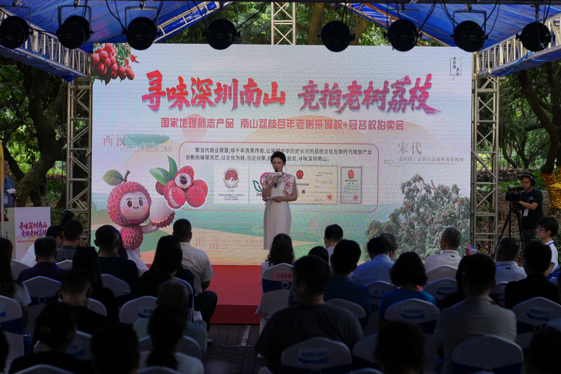 南山荔枝百年老树竞拍引热潮 名企名荔联动共绘产业新蓝图