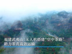 福建武夷山：无人机搭建“空中茶路” 助力茶青高效运输