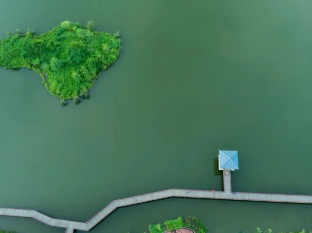 五一漫游 “牛镇八景” 丨避开人从众！横沥这条小众乡村游路线值得收藏