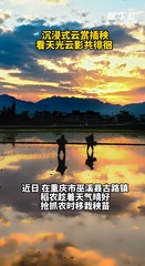 秀我中国｜沉浸式云赏插秧 看天光云影共徘徊 