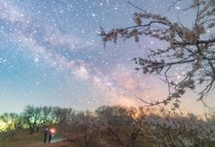 诗意中国丨霭霭花出雾，辉辉星映川（7）#