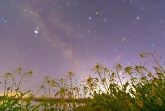 诗意中国丨霭霭花出雾，辉辉星映川（6）#