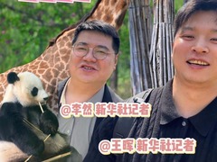 送你一张照片｜动物园的“超级奶爸”