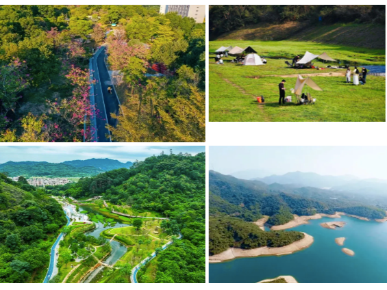 坪山文旅新场景新玩法激发消费新活力