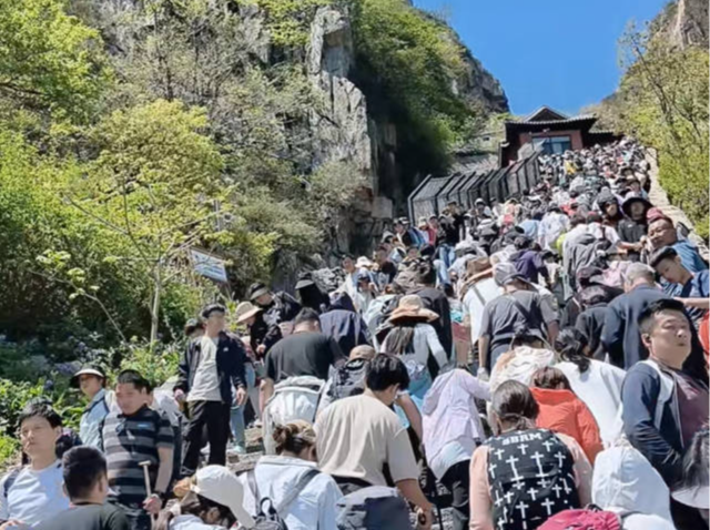 最多一天爬三趟！泰山陪爬团队：游客太多，预约排到5月10日了