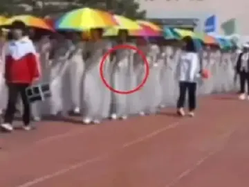 60余名学生买演出服用完就退货？律师解读“七天无理由退货” | 读特普法