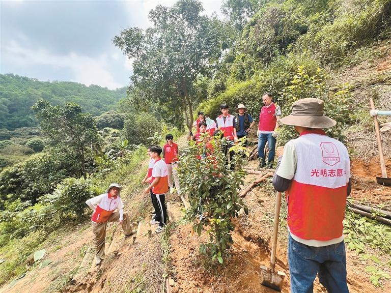 光明青少年变身“工程师” 走进山林开展边坡修复
