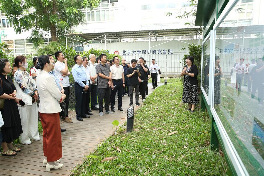 罗湖区民办教育治理能力提升工程暨高质量发展微讲堂第十期成功举办