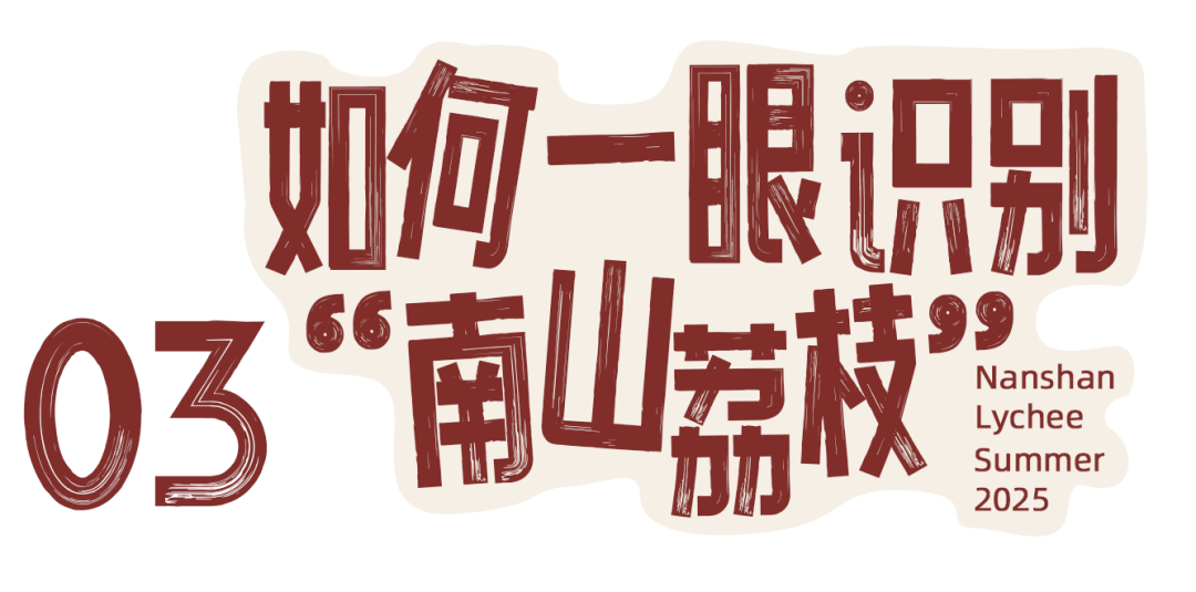 微信图片_2025-06-16_094109_048.png